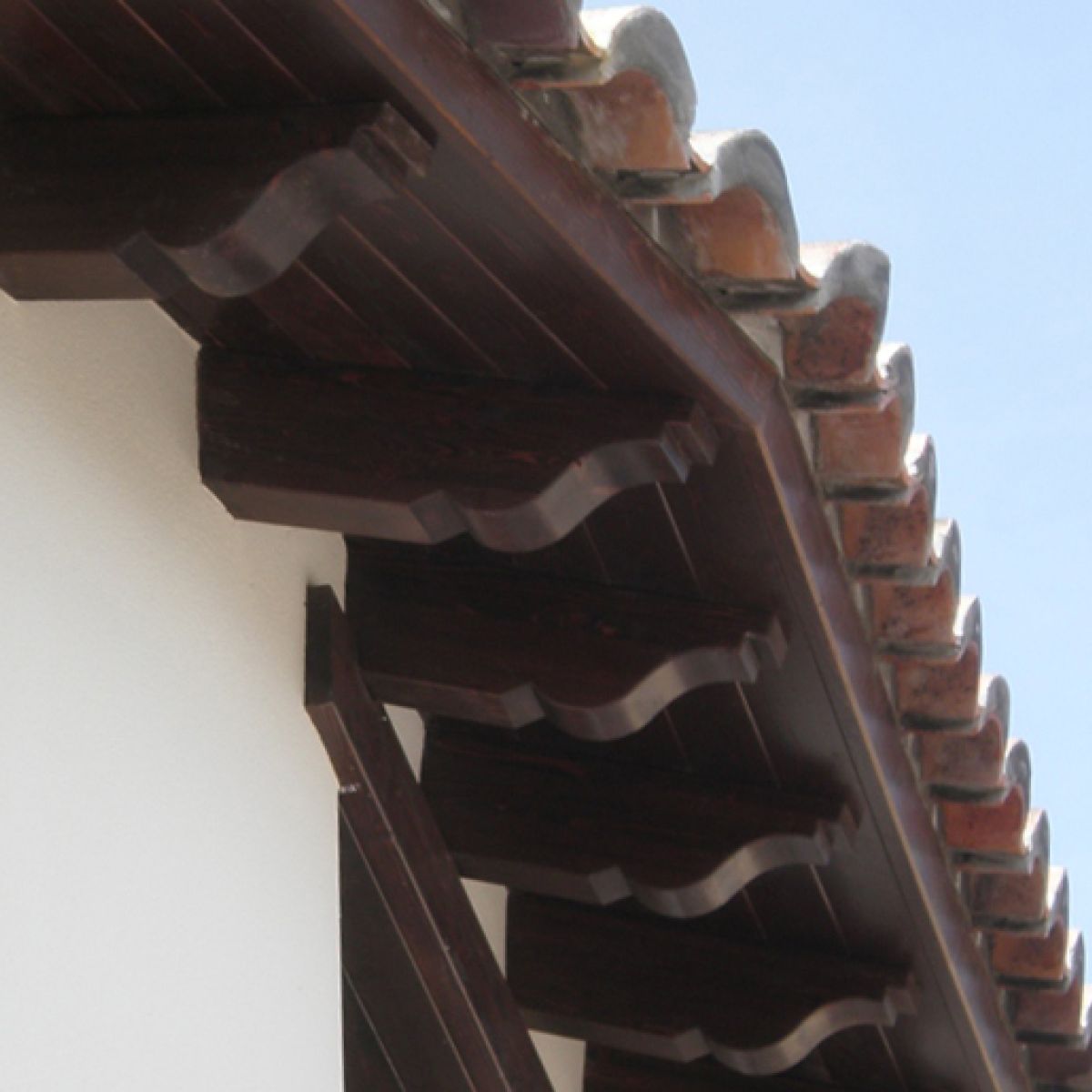 Foto de terminación de los canes y aleros