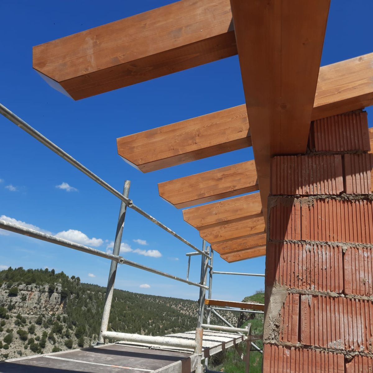 Foto de terminación de los canes y aleros